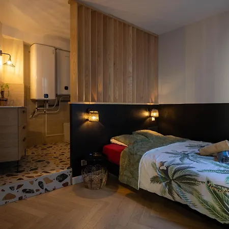 Spacieux Au Coeur D'angers Etage 2 - 6 Personnes * アンジェ