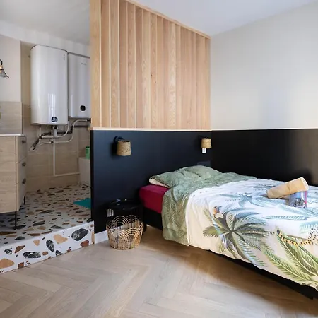 Apartamento Spacieux Au Coeur D'angers Etage 2 - 6 Personnes *